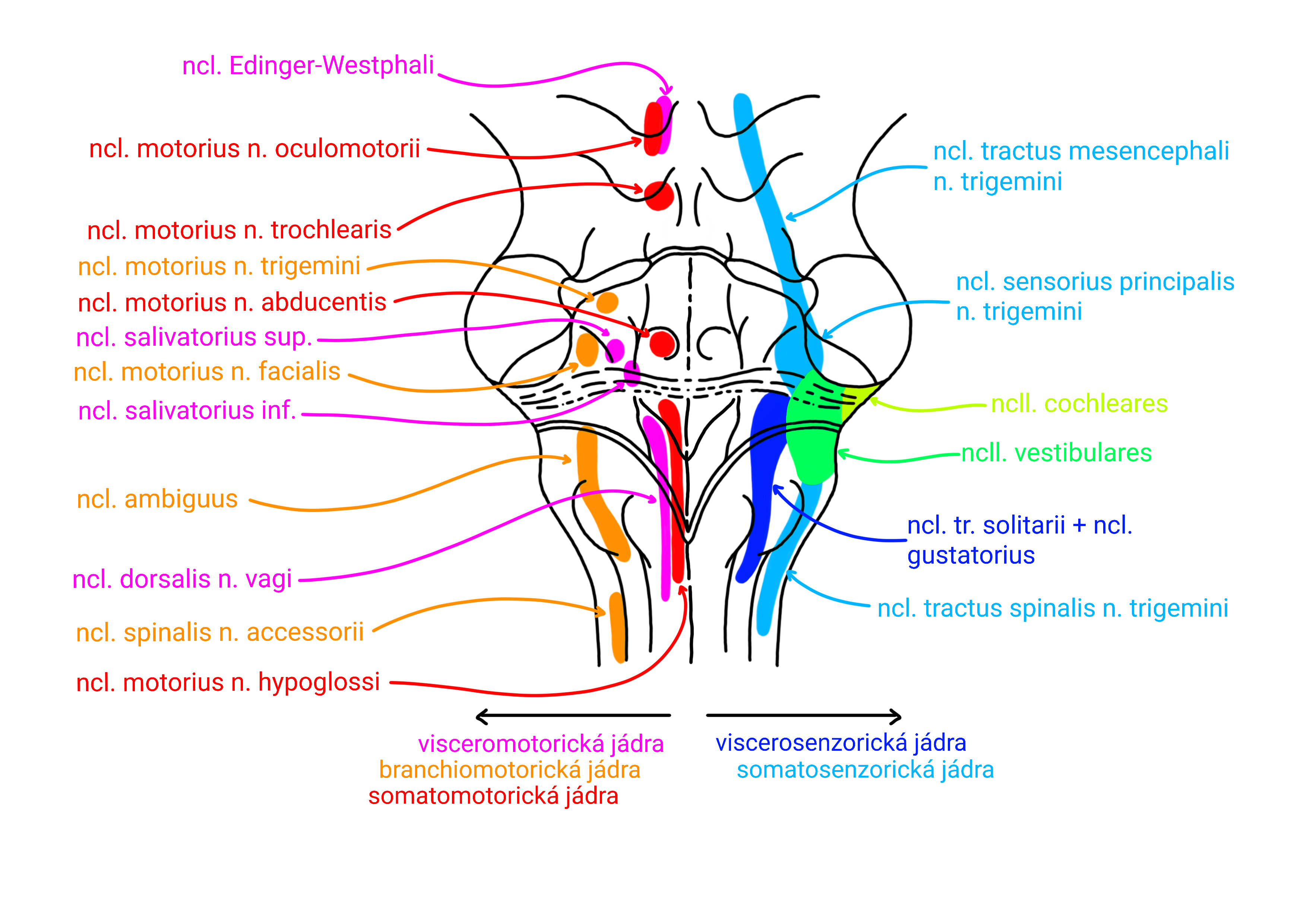 4fd9d5eb-6f96-4ef4-a3b4-5c9f6165e7b9.png